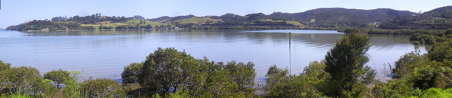 Orongo Bay Panorama