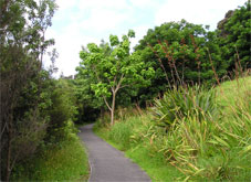 Long Beach Walkway